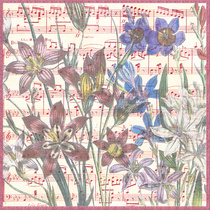 Fleurs musicales : Bouquet Fleuri
