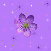 fleur violette fond d'étoiles