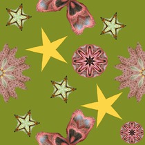 Tissu fleurs et étoiles sur fond kaki